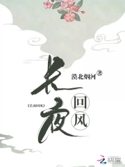 长夜漫漫打一生肖